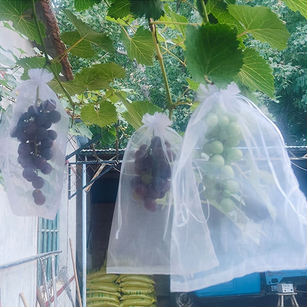 Grow Bags - 100 Sacchi a Rete Bianchi Traspiranti
