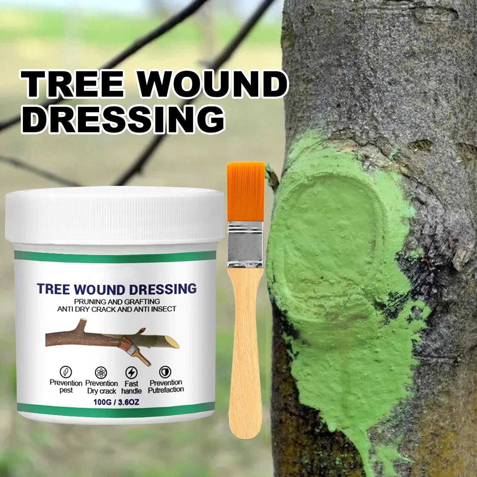 Gardening Tools Repair - Pasta per Innesto Alberi, Pasta per