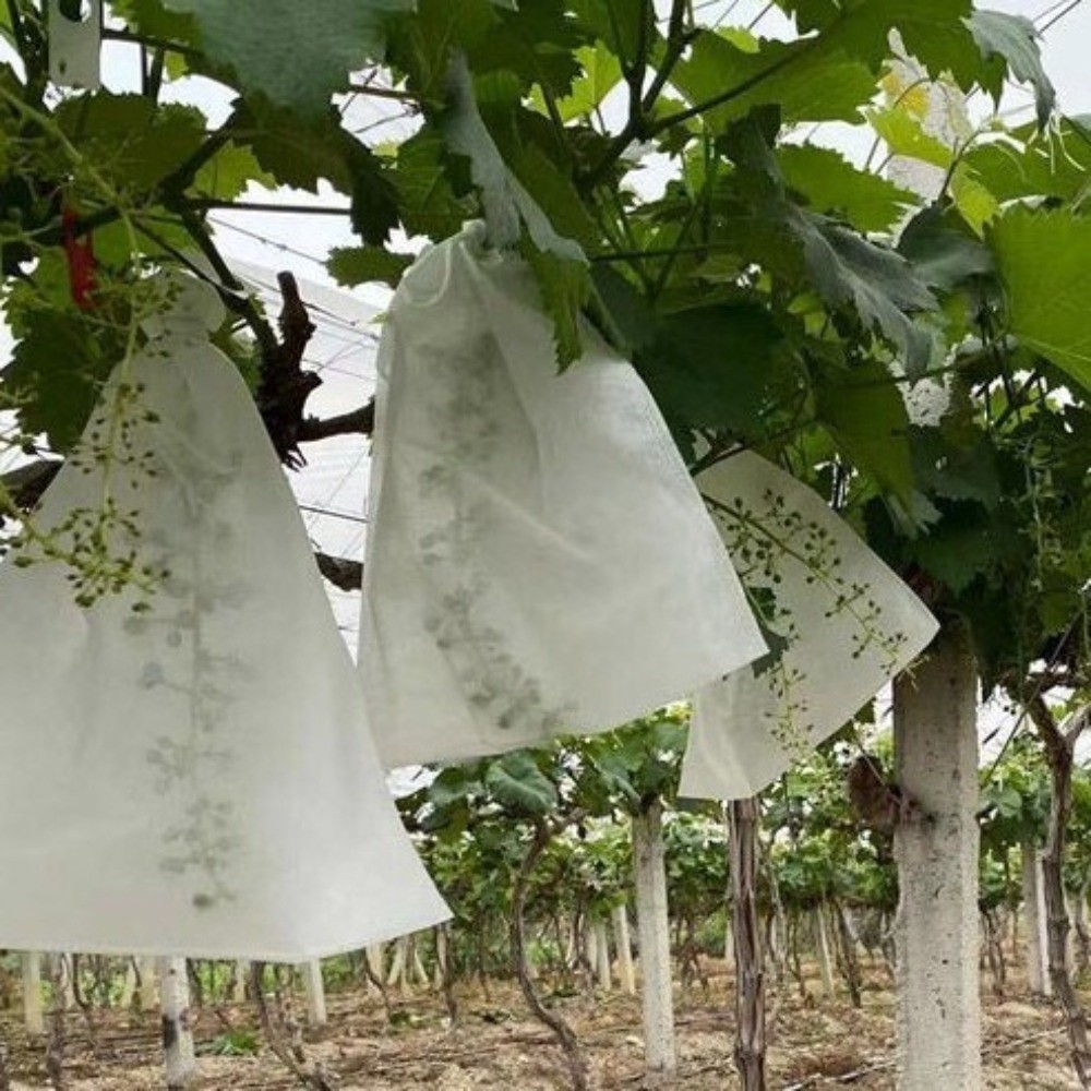 Grow Bags - 100 Sacchetti Protettivi Non Tessuti per