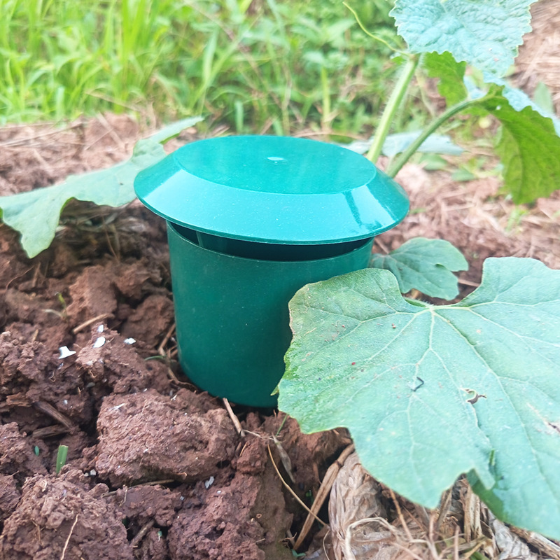 10/1 Pezzi Trappole per Lumach - Gardening Tools Toolstation recensione e prezzo