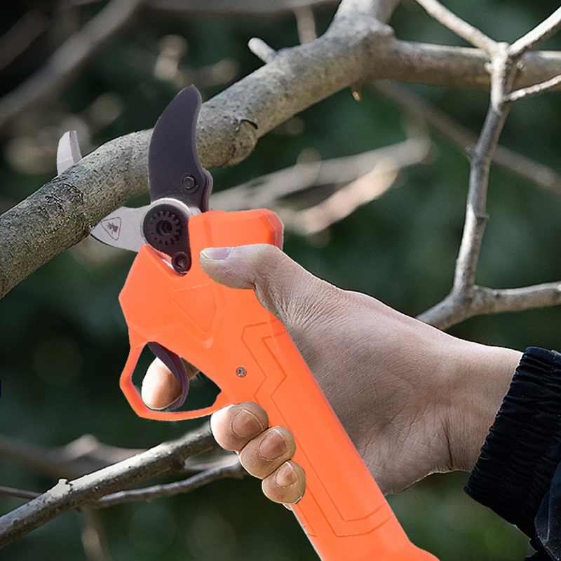 Forbici da Potatura Elettriche - Gardening Tools In recensione e prezzo