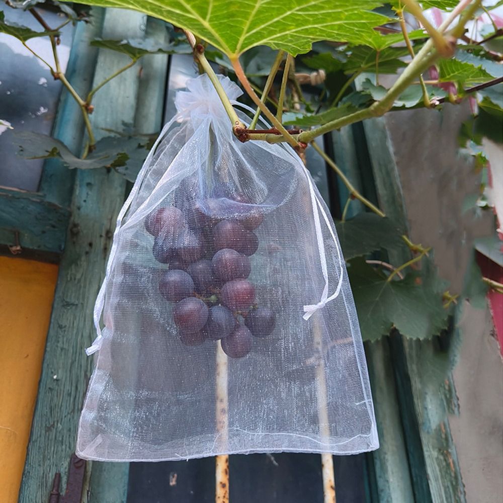 100 Sacchi a Rete Bianchi Tras - Grow Bags recensione e prezzo