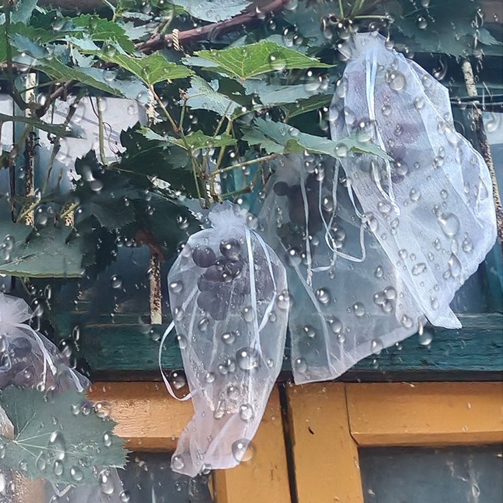 100 Sacchi a Rete Bianchi Tras - Grow Bags recensione e prezzo