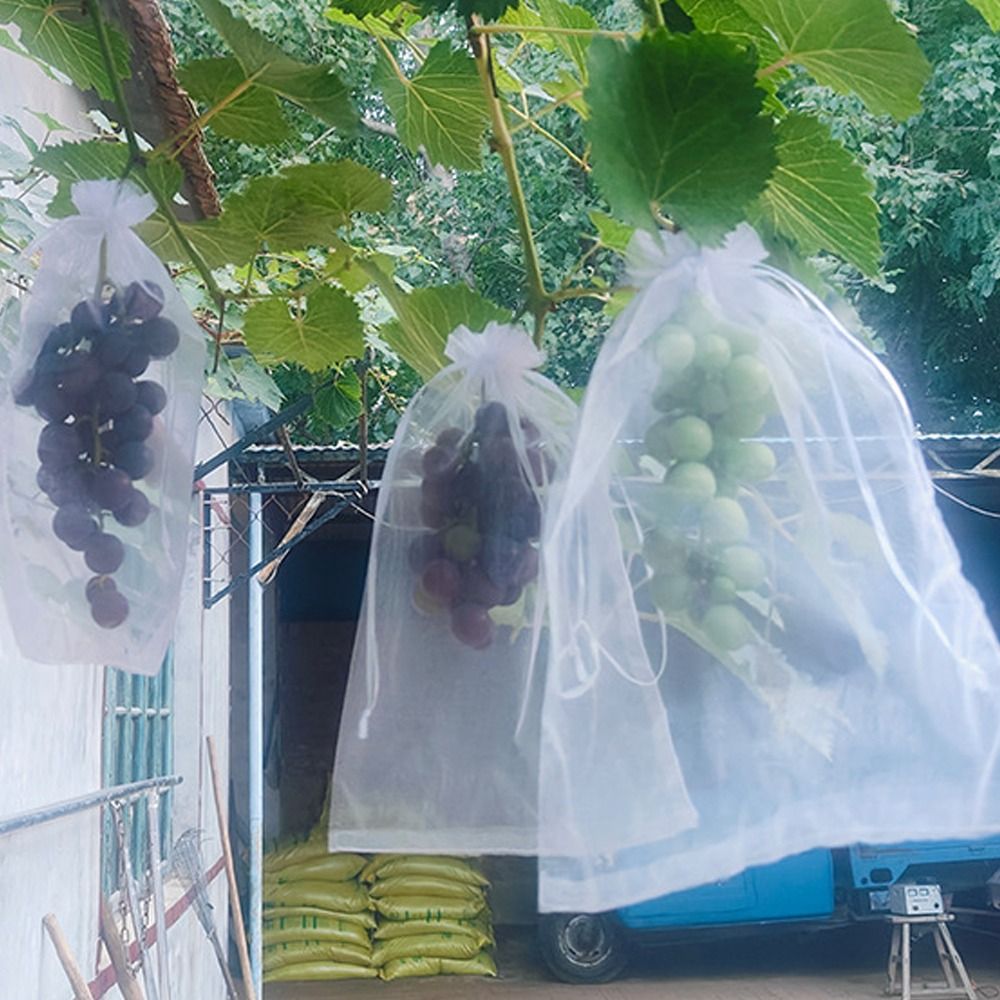 100 Sacchi a Rete Bianchi Tras - Grow Bags recensione e prezzo