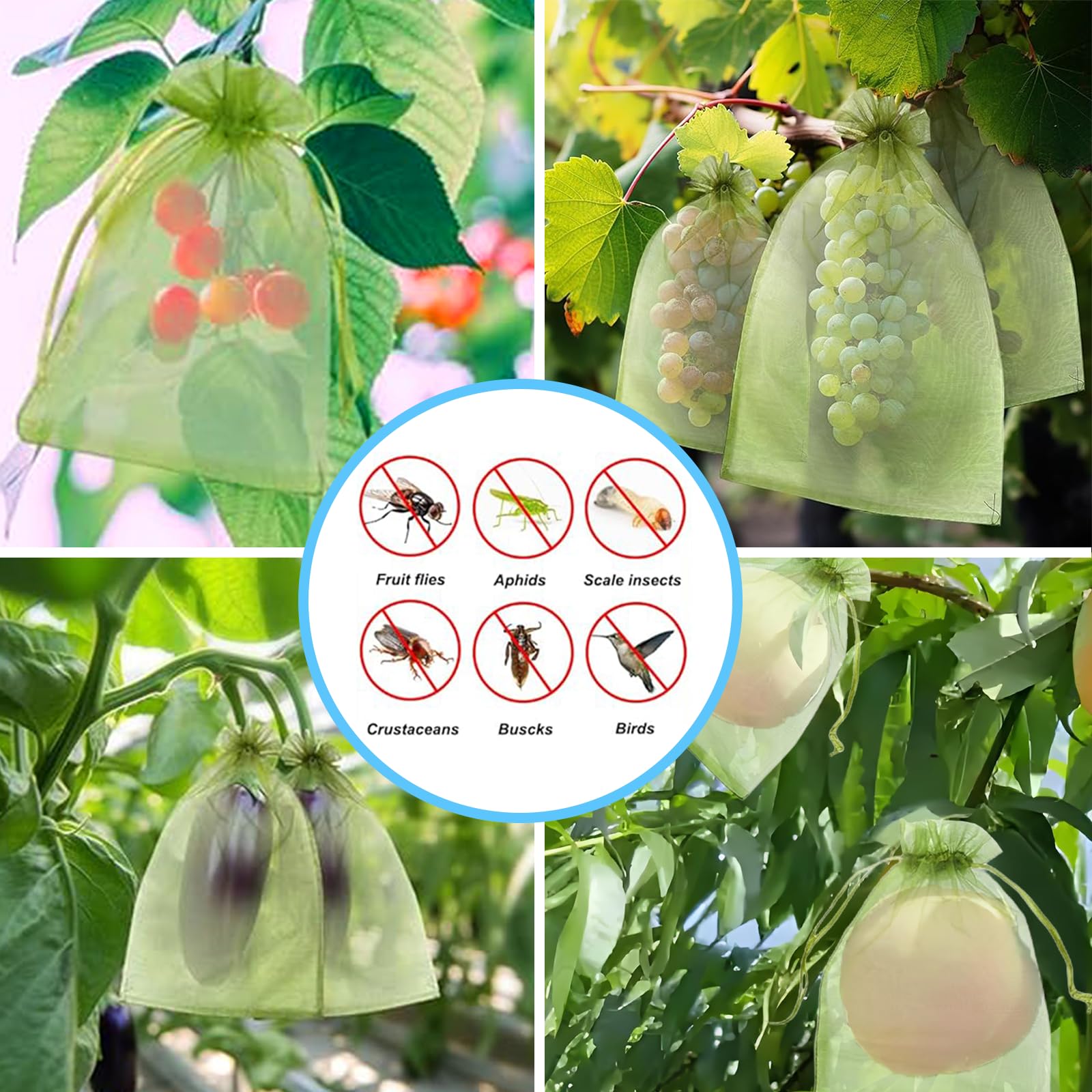 Rete Anti-Uccelli Efficace, Sa - Grow Bags recensione e prezzo