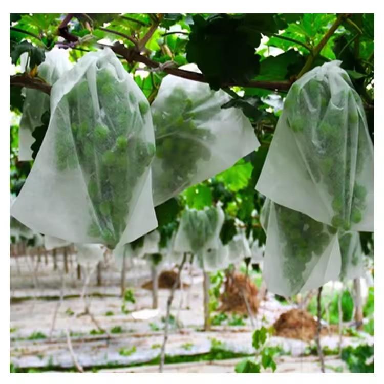 50 sacchetti protettivi per fr - Grow Bags recensione e prezzo