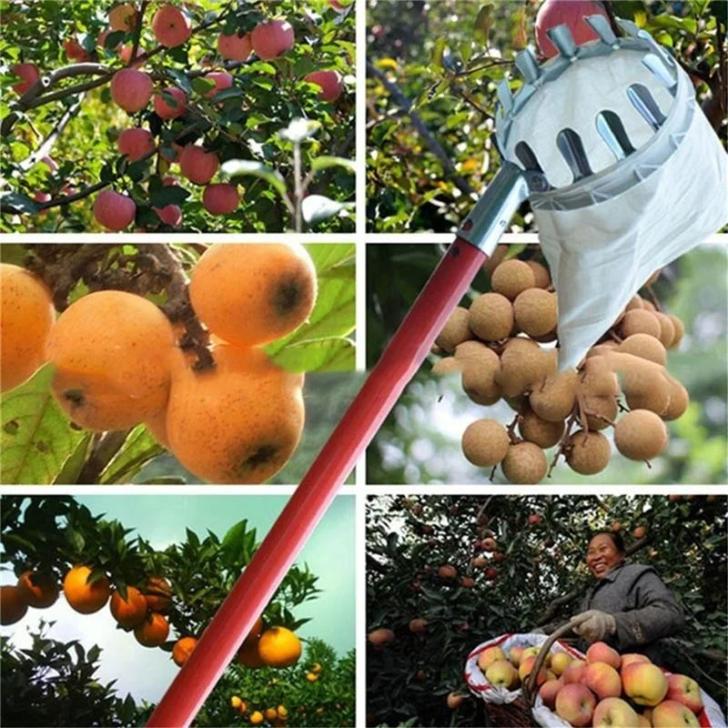 Raccoglitore di Frutta per Gia - Grow Bags recensione e prezzo