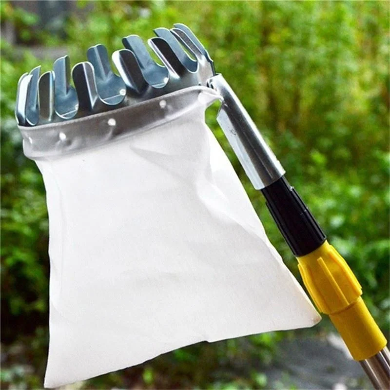 Raccoglitore di Frutta per Gia - Grow Bags recensione e prezzo