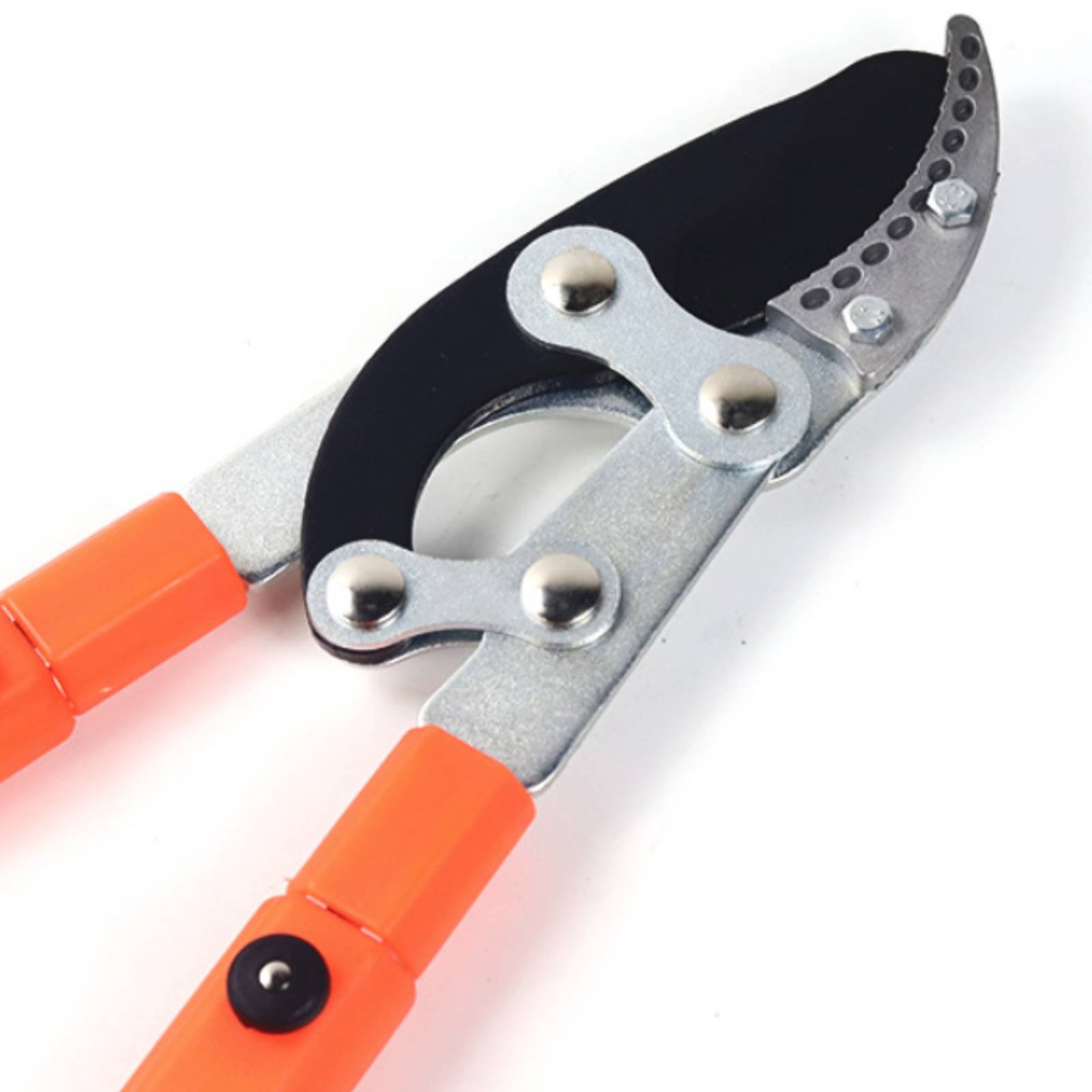 Forbici Telescopiche per Potat - Gardening Tools In recensione e prezzo