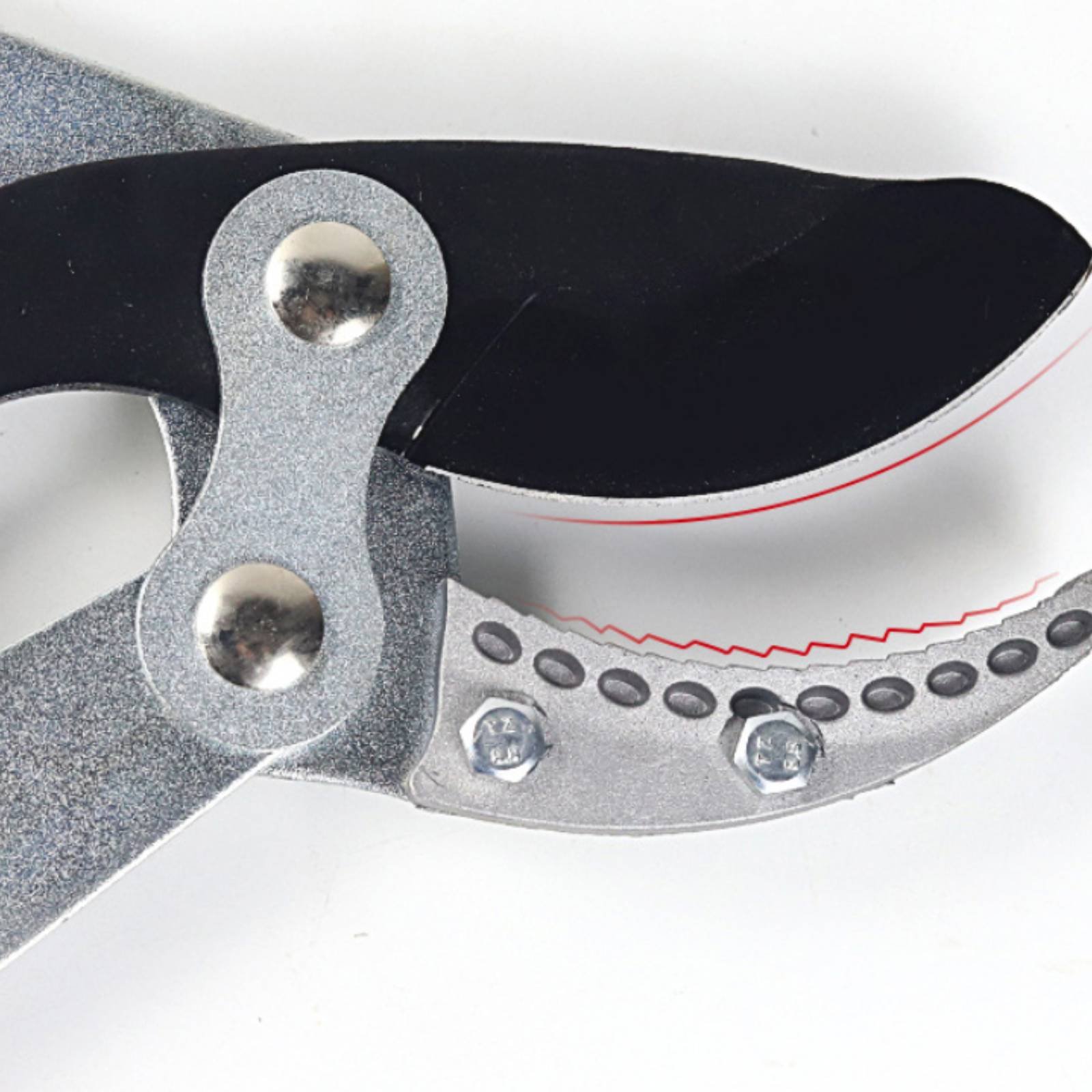 Forbici Telescopiche per Potat - Gardening Tools In recensione e prezzo
