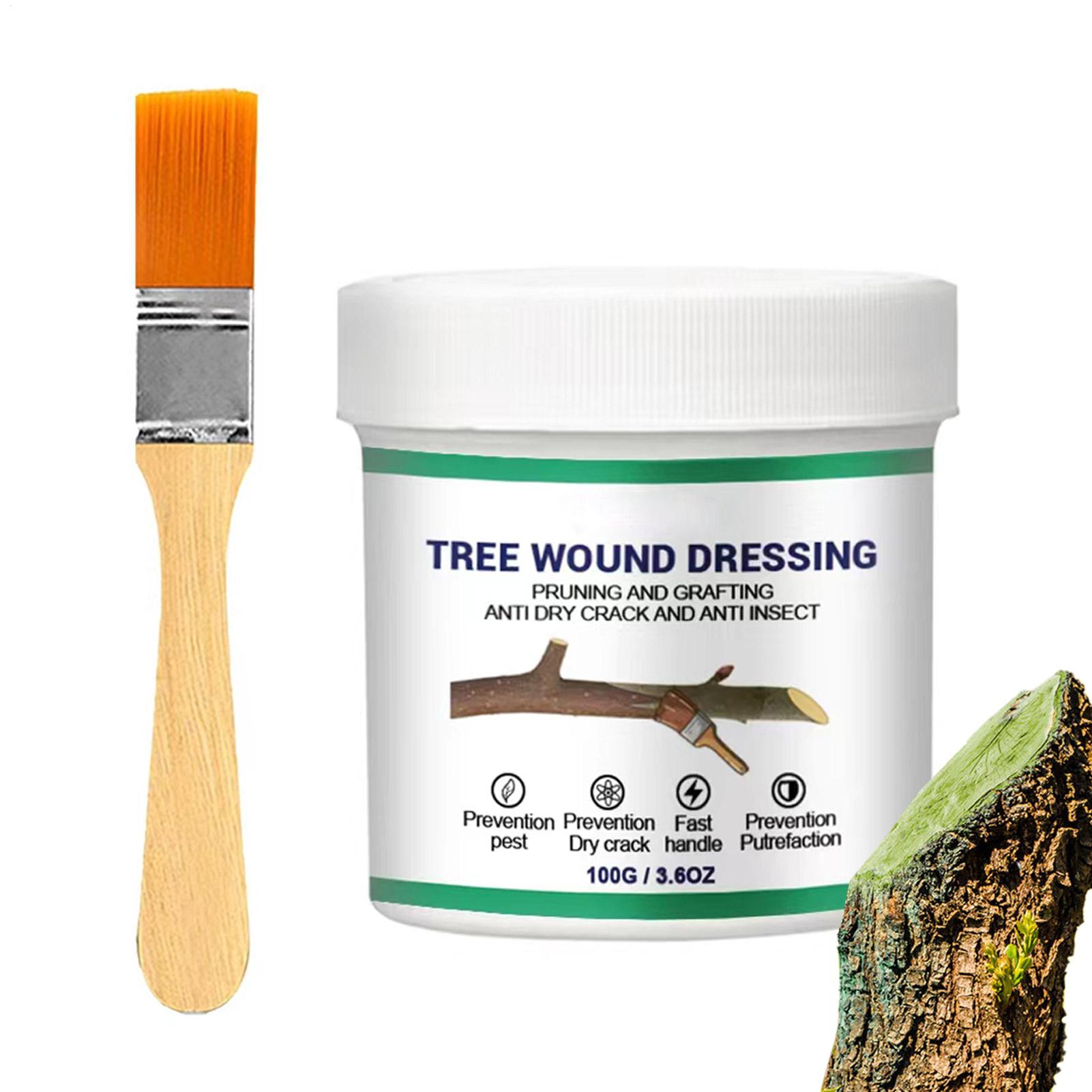 Pasta per Innesto Alberi, Past - Gardening Tools Repair recensione e prezzo