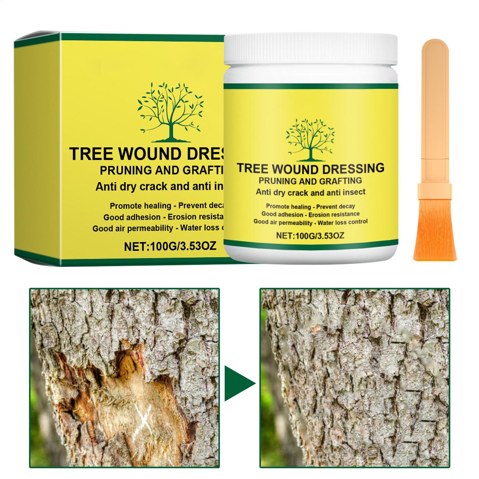 Pasta per Innesto Alberi, Past - Gardening Tools Repair recensione e prezzo