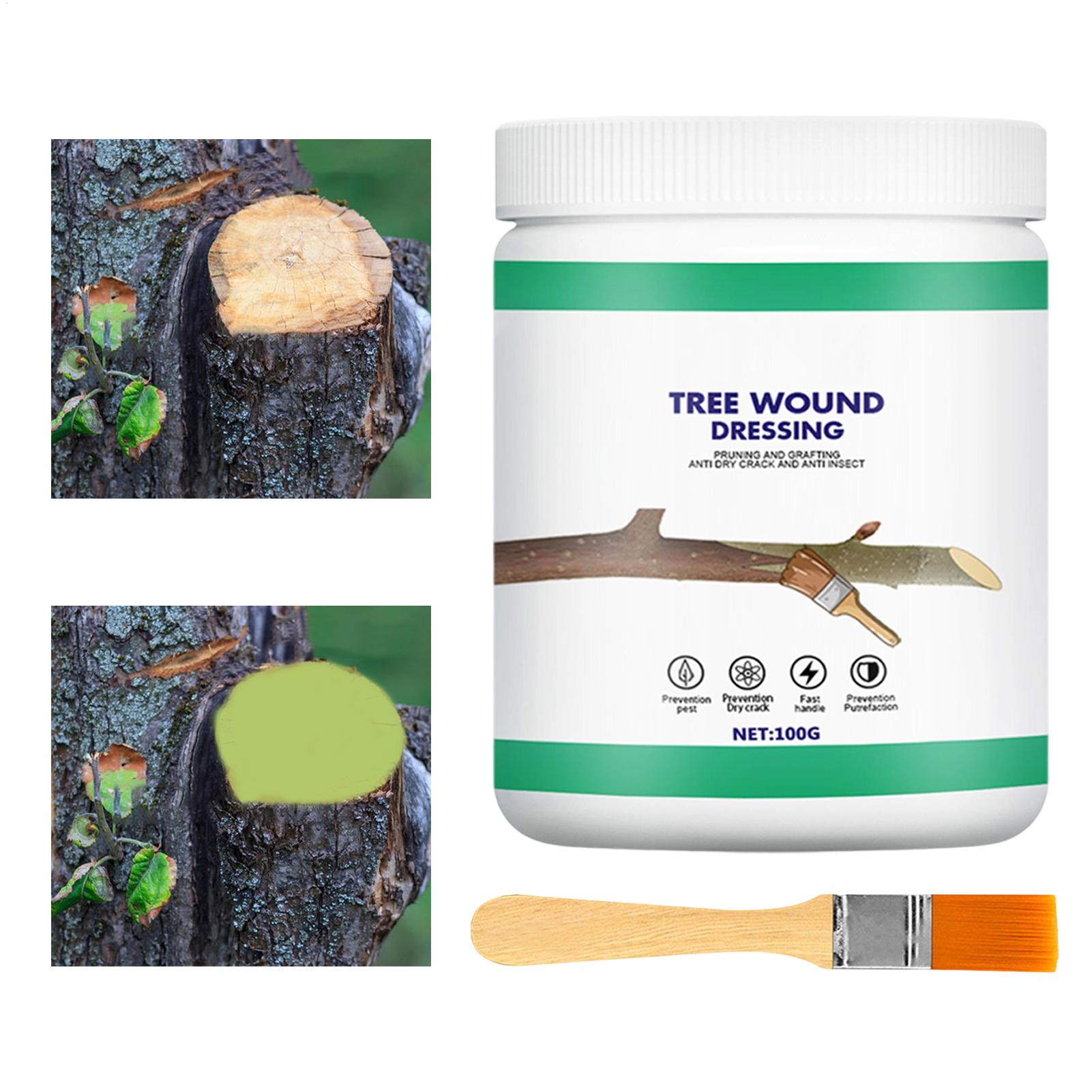 Pasta per Innesto Alberi, Past - Gardening Tools Repair recensione e prezzo