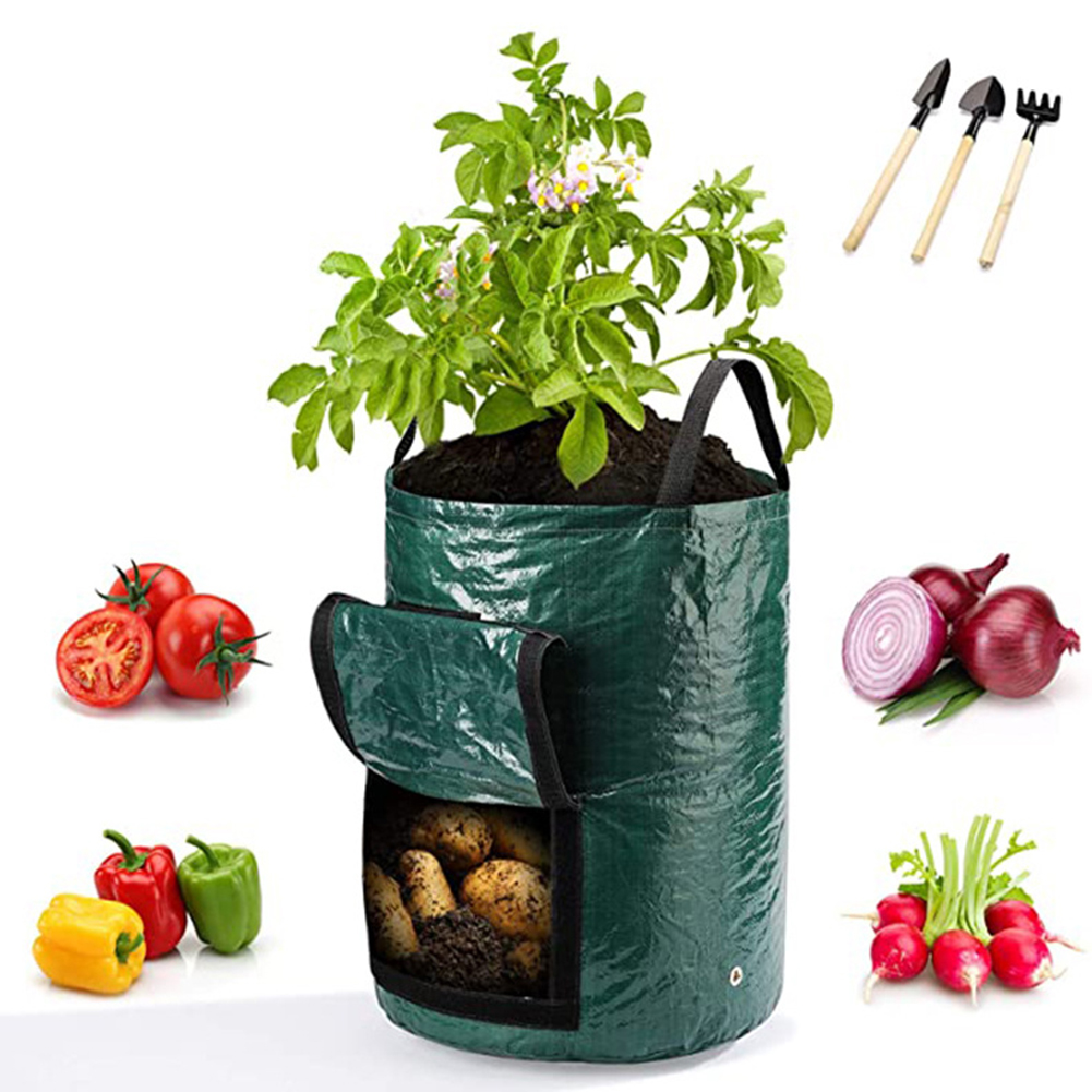 1 sacchetto da 10 galloni per  - Grow Bags recensione e prezzo
